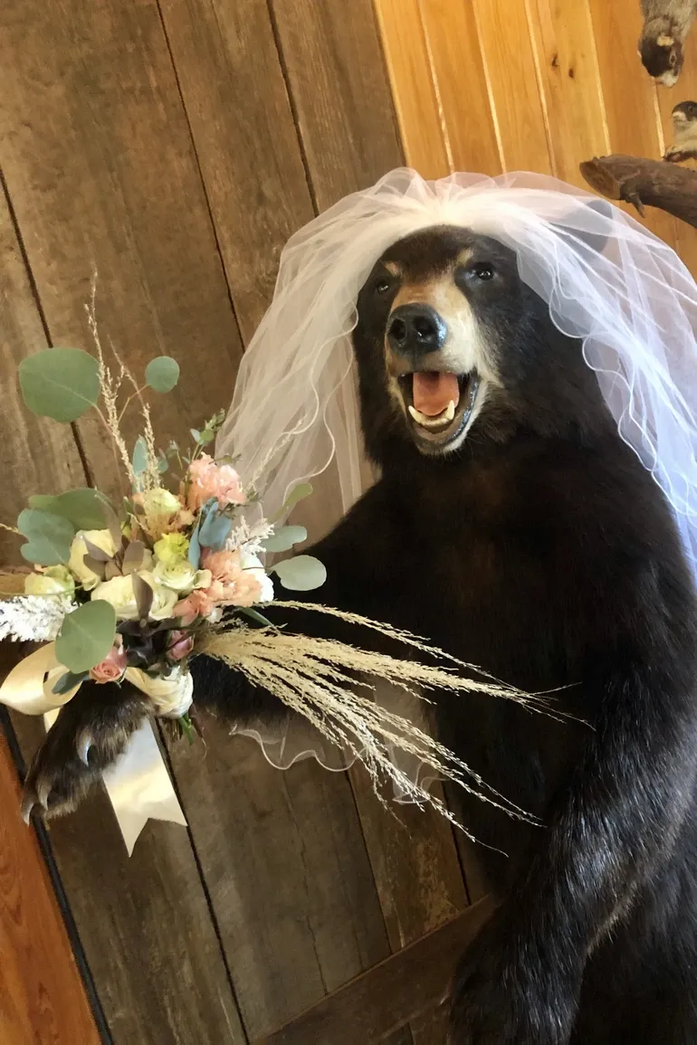 Taxidermy bear holding a bouquet and a veil