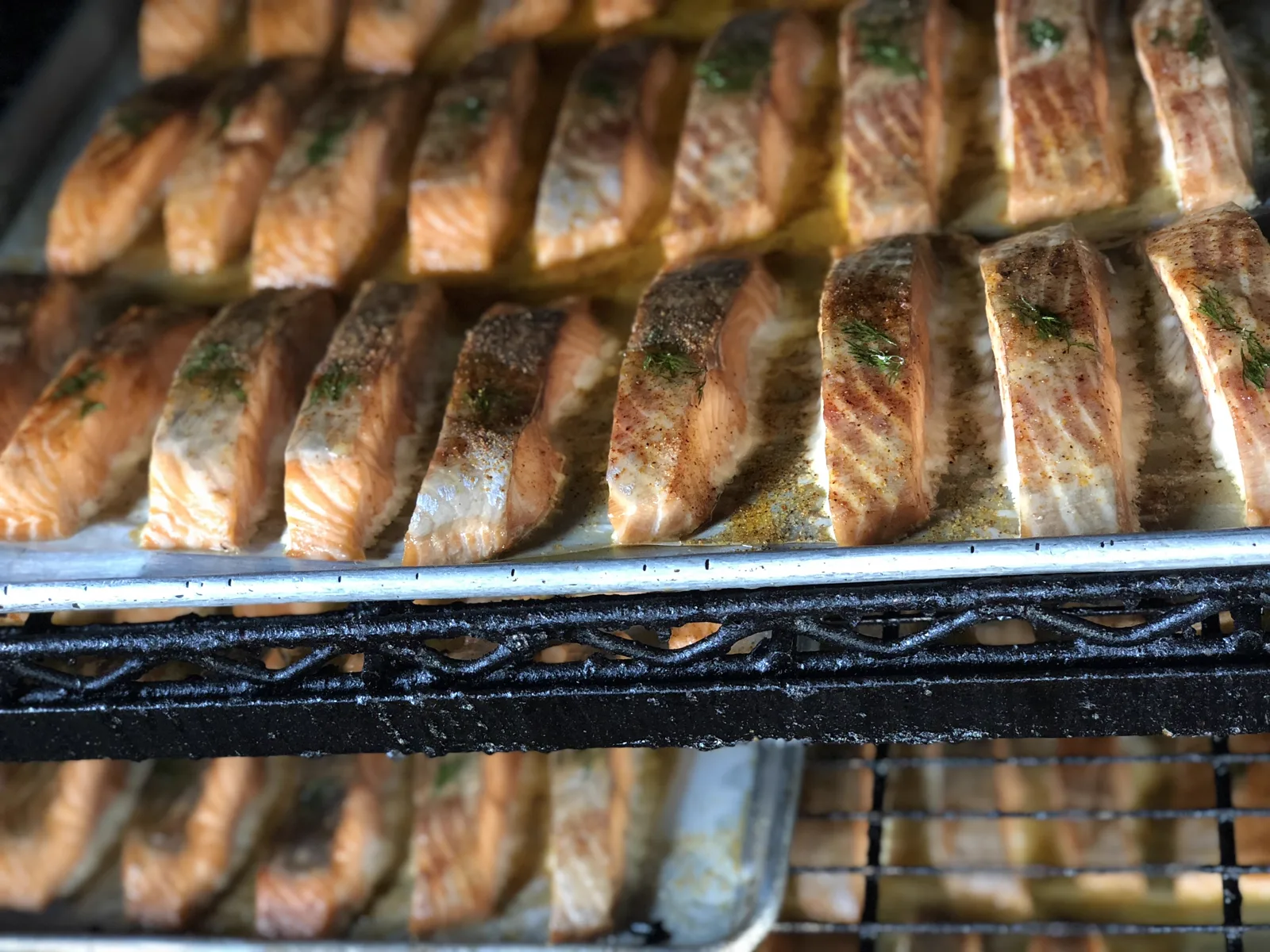 Salmon fillets lined up across the grill grates